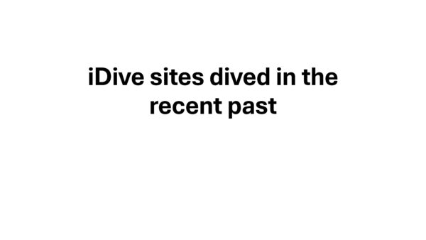 Recent Dives from the iDive gallery