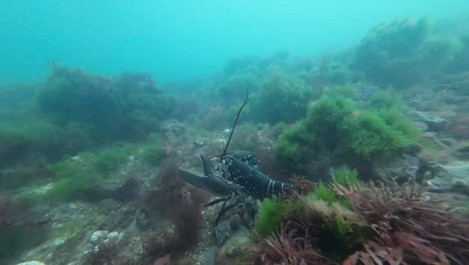 North Norfolk Diving – by karl wilkinson