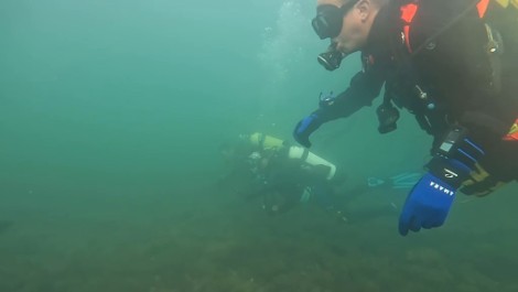 Diving Norfolk by Scott Warren